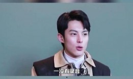 朋友爆料王鹤棣视频,网友热议背后真相