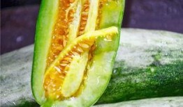 吃瓜千万网红是谁,网络红人的崛起与影响力